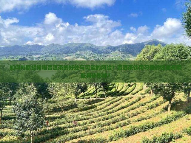如何判断经常喝普洱茶的好处与可能的风险？普洱茶饮用习惯对健康有哪些具体影响？