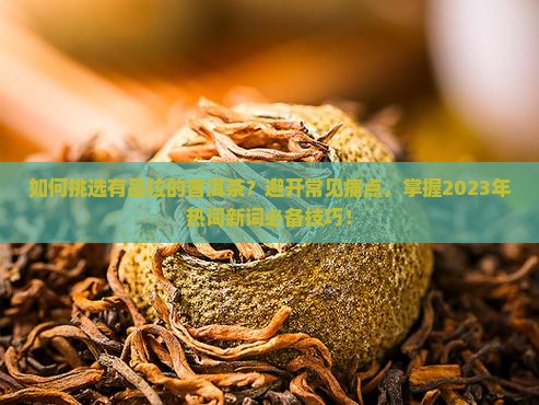 如何挑选有品位的普洱茶？避开常见痛点，掌握2023年热词新词必备技巧！