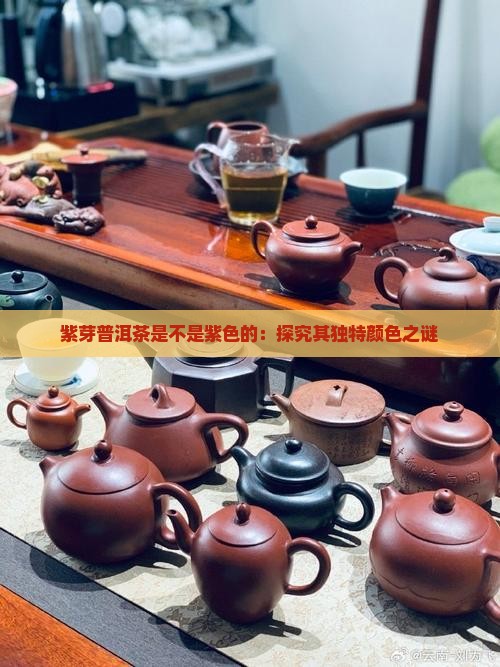 紫芽普洱茶是不是紫色的：探究其独特颜色之谜