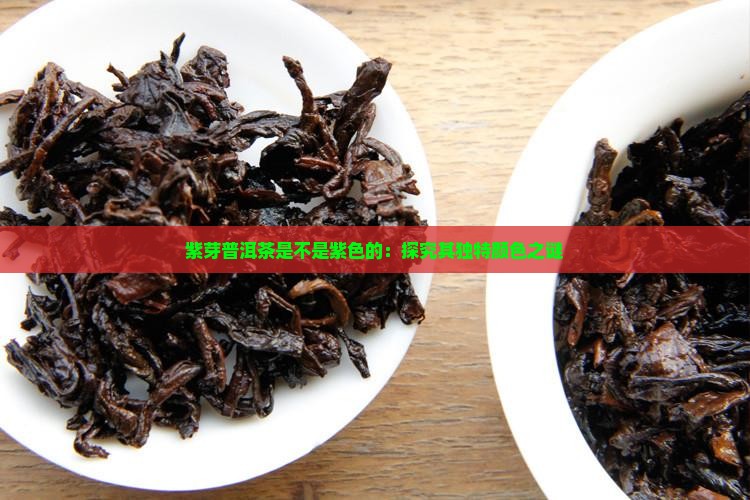 紫芽普洱茶是不是紫色的：探究其独特颜色之谜