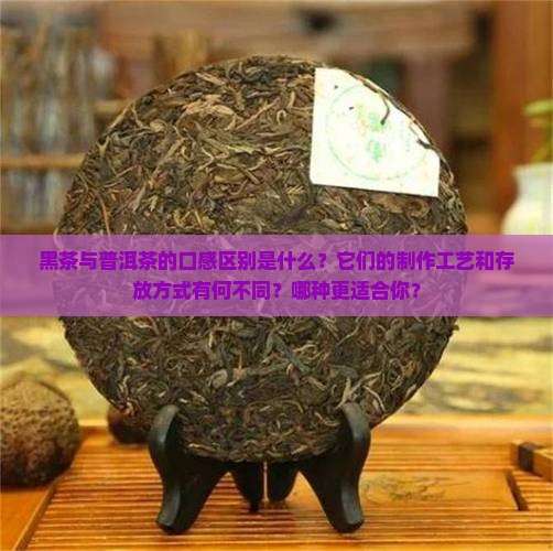 黑茶与普洱茶的口感区别是什么？它们的制作工艺和存放方式有何不同？哪种更适合你？
