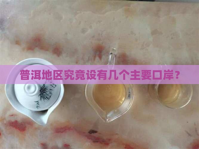 普洱地区究竟设有几个主要口岸？