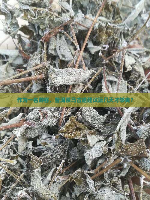 作为一名游客，普洱茶马古道建议玩几天才够爽？