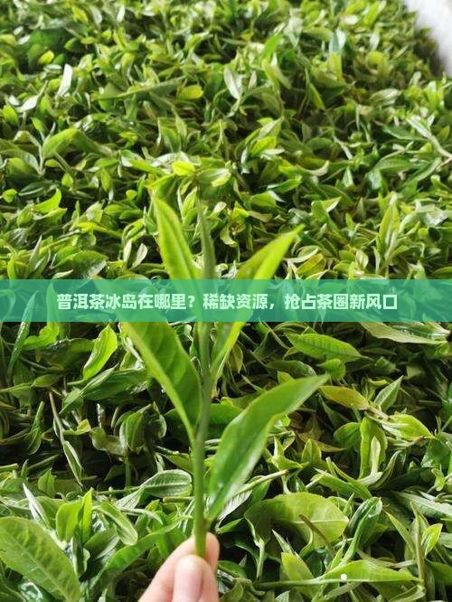 普洱茶冰岛在哪里？稀缺资源，抢占茶圈新风口