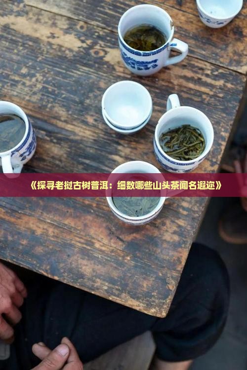 《探寻老挝古树普洱：细数哪些山头茶闻名遐迩》