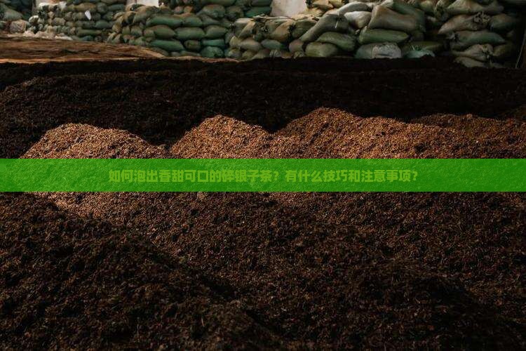 如何泡出香甜可口的碎银子茶？有什么技巧和注意事项？