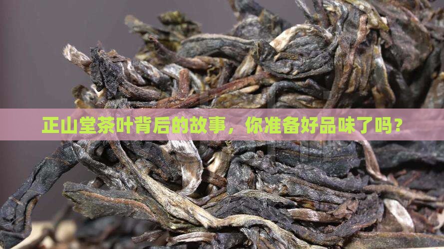 正山堂茶叶背后的故事，你准备好品味了吗？
