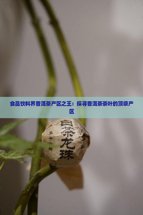 食品饮料界普洱茶产区之王：探寻普洱茶茶叶的顶级产区