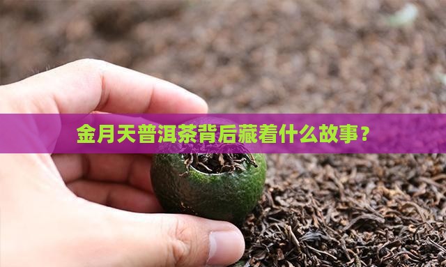 金月天普洱茶背后藏着什么故事？