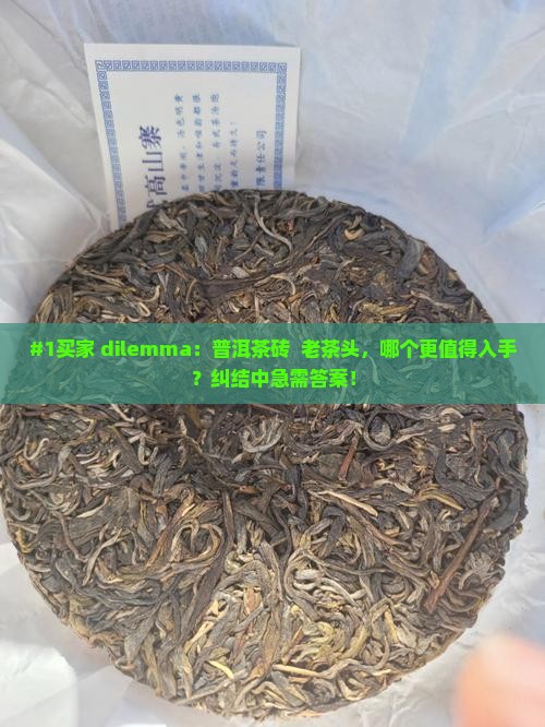 #1买家 dilemma：普洱茶砖  老茶头，哪个更值得入手？纠结中急需答案！