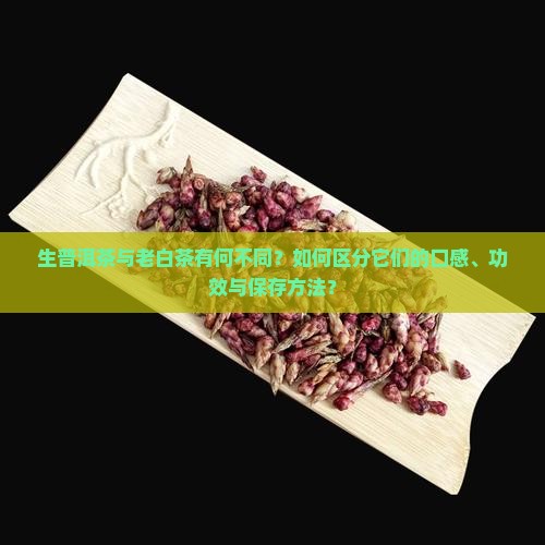 生普洱茶与老白茶有何不同？如何区分它们的口感、功效与保存方法？