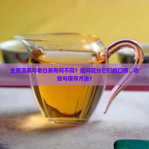 生普洱茶与老白茶有何不同？如何区分它们的口感、功效与保存方法？