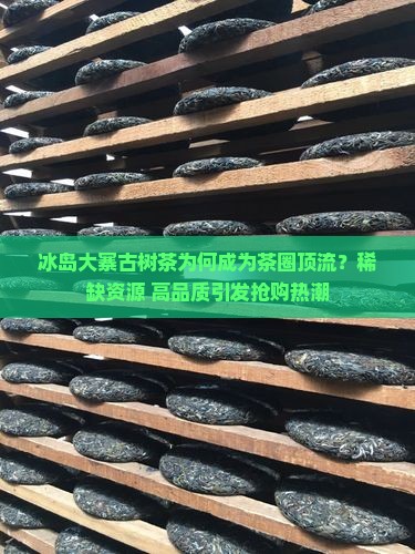 冰岛大寨古树茶为何成为茶圈顶流？稀缺资源+高品质引发抢购热潮