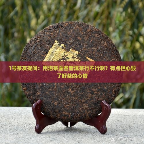 1号茶友提问：用泡茶壶煮普洱茶行不行啊？有点担心毁了好茶的心情