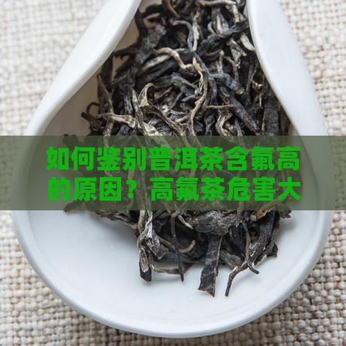 如何鉴别普洱茶含氟高的原因？高氟茶危害大