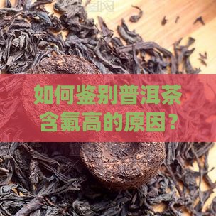 如何鉴别普洱茶含氟高的原因？高氟茶危害大