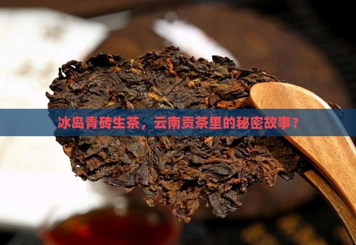 冰岛青砖生茶，云南贡茶里的秘密故事？