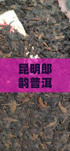 昆明郎韵普洱茶专卖店价格表茶叶