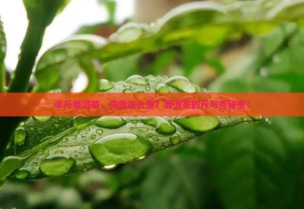 半斤普洱茶，竟然这么重？普洱茶的斤与克秘密！