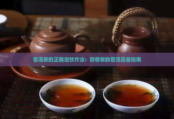 普洱茶的正确泡饮方法：醇香紫韵普洱品鉴指南
