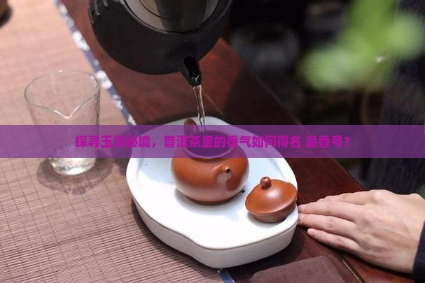探寻玉溪秘境，普洱茶里的香气如何得名 品香号？