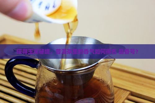 探寻玉溪秘境，普洱茶里的香气如何得名 品香号？