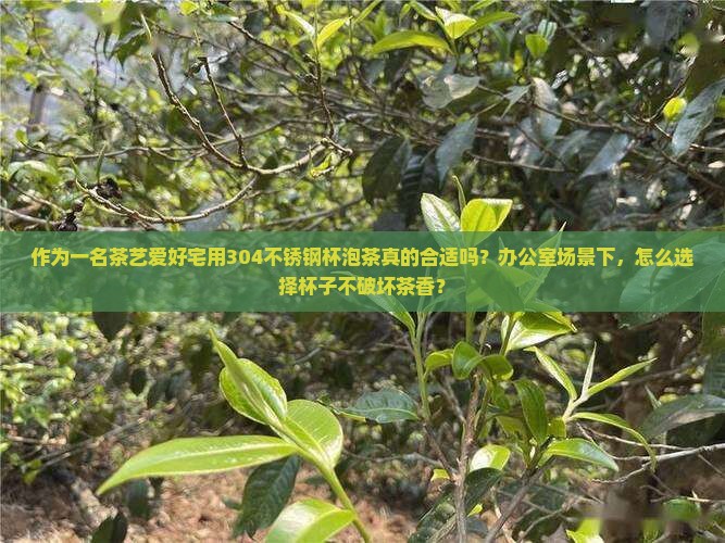 作为一名茶艺爱好宅用304不锈钢杯泡茶真的合适吗？办公室场景下，怎么选择杯子不破坏茶香？