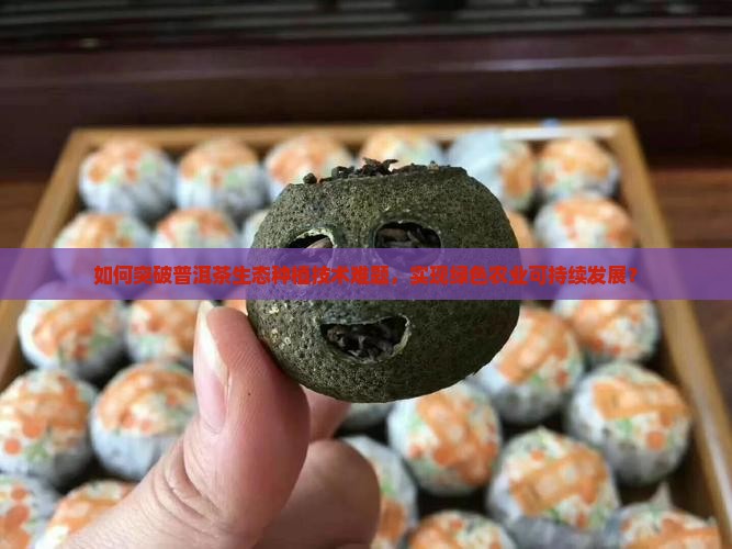 如何突破普洱茶生态种植技术难题，实现绿色农业可持续发展？