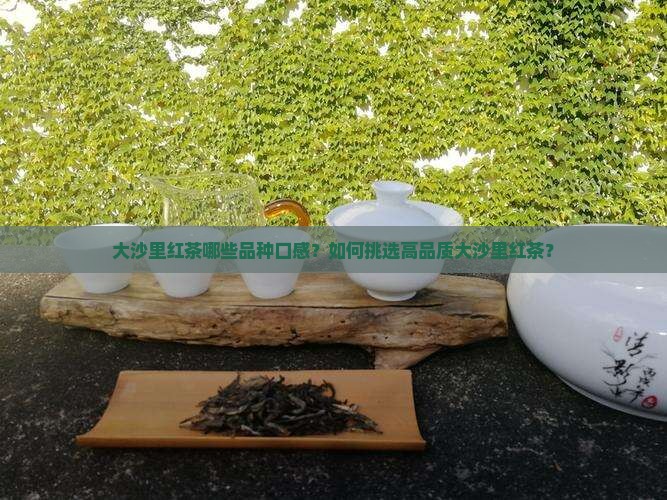 大沙里红茶哪些品种口感？如何挑选高品质大沙里红茶？