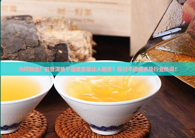 为何新出厂的普洱茶干湿度总是让人疑惑？探讨干透痛点及行业热词！