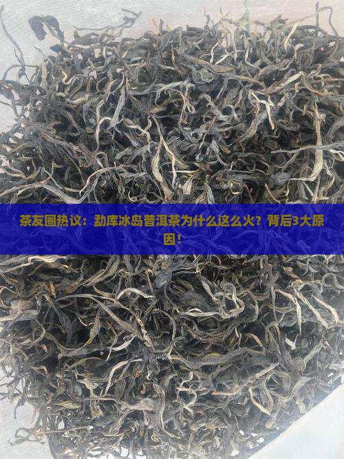 茶友圈热议：勐库冰岛普洱茶为什么这么火？背后3大原因！