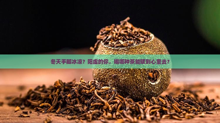 冬天手脚冰凉？阳虚的你，喝哪种茶能暖到心里去？