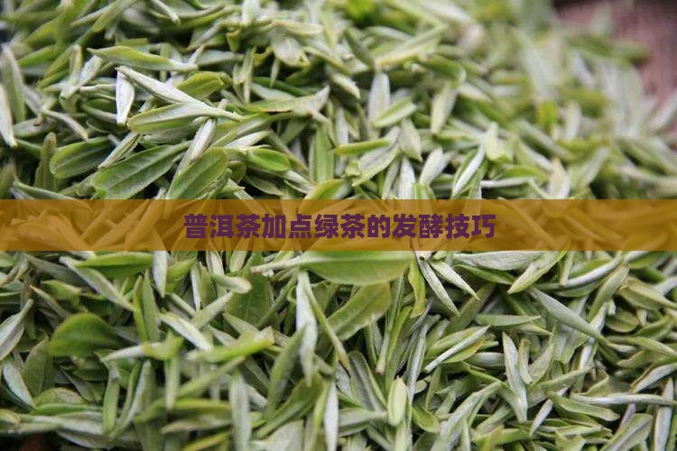 普洱茶加点绿茶的发酵技巧