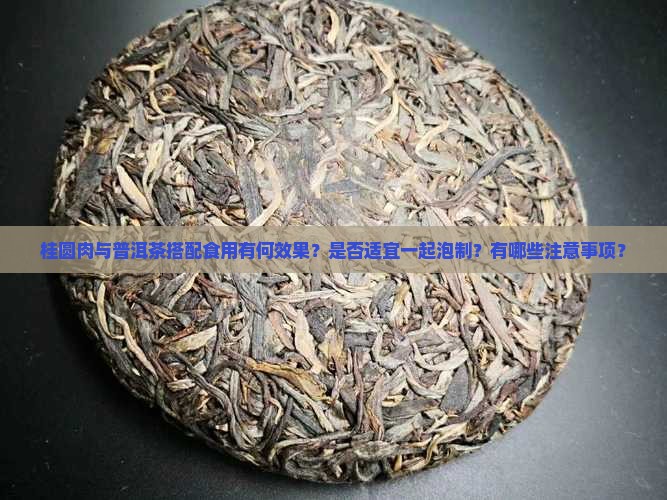 桂圆肉与普洱茶搭配食用有何效果？是否适宜一起泡制？有哪些注意事项？