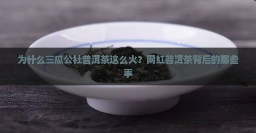 为什么三瓜公社普洱茶这么火？网红普洱茶背后的那些事