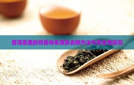 普洱茶里的奶香味来源及去除方法与安全性探究