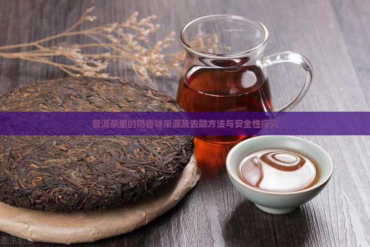 普洱茶里的奶香味来源及去除方法与安全性探究