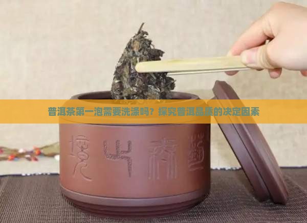 普洱茶第一泡需要洗涤吗？探究普洱品质的决定因素