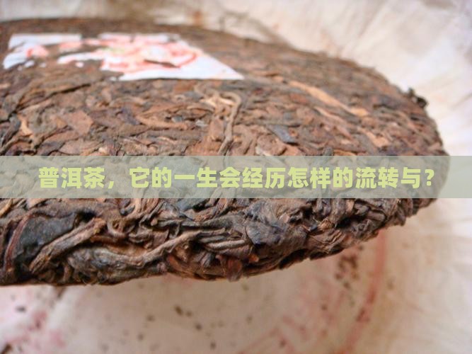 普洱茶，它的一生会经历怎样的流转与？
