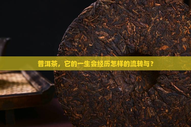 普洱茶，它的一生会经历怎样的流转与？
