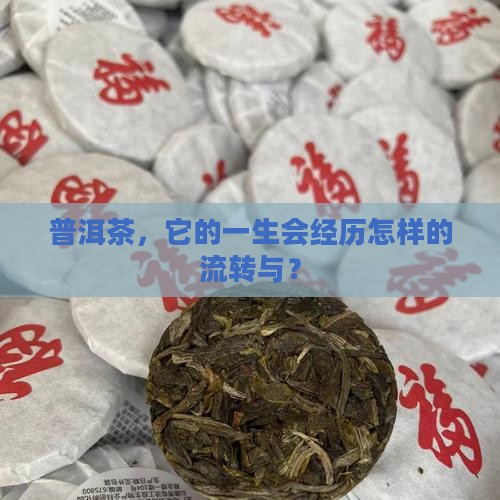 普洱茶，它的一生会经历怎样的流转与？