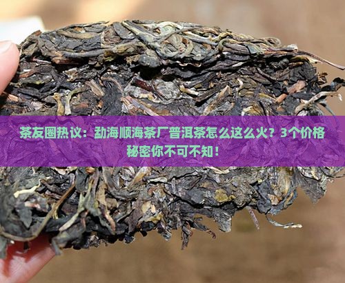 茶友圈热议：勐海顺海茶厂普洱茶怎么这么火？3个价格秘密你不可不知！