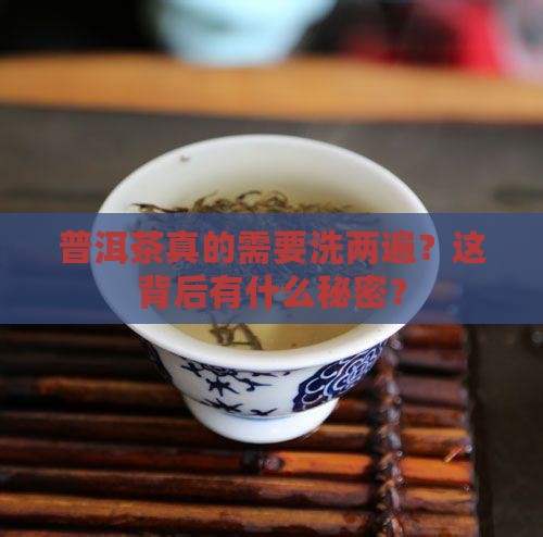 普洱茶真的需要洗两遍？这背后有什么秘密？