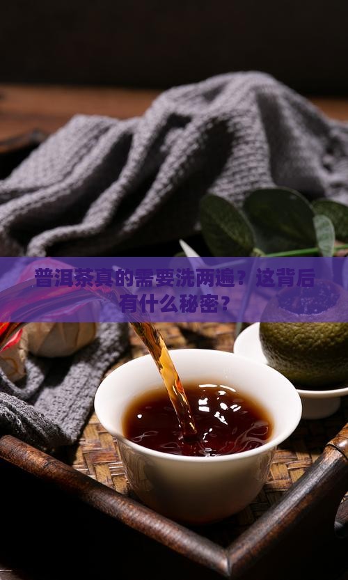 普洱茶真的需要洗两遍？这背后有什么秘密？