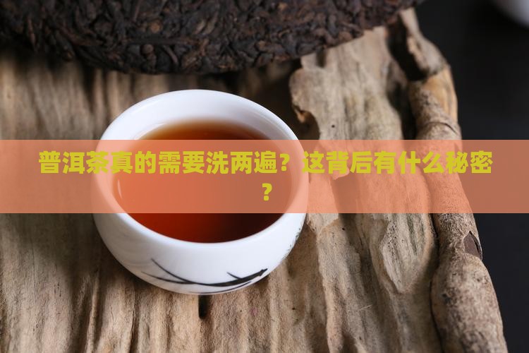 普洱茶真的需要洗两遍？这背后有什么秘密？