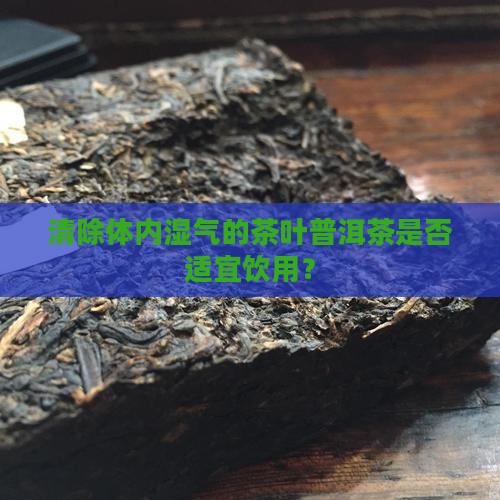 清除体内湿气的茶叶普洱茶是否适宜饮用？