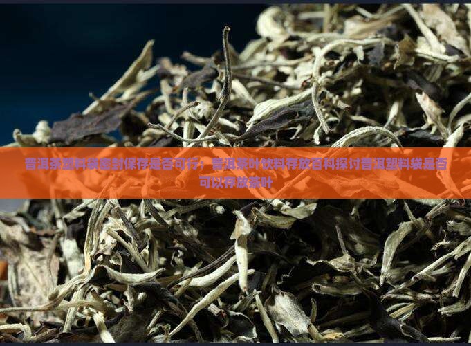 普洱茶塑料袋密封保存是否可行：普洱茶叶饮料存放百科探讨普洱塑料袋是否可以存放茶叶