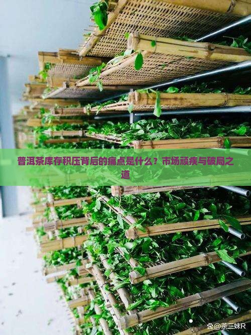 普洱茶库存积压背后的痛点是什么？市场顽疾与破局之道