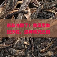 茶友注意了！普洱里发现沙粒，这种情况还能放心喝吗？