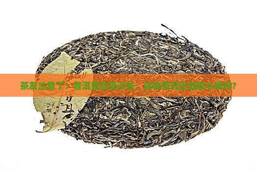 茶友注意了！普洱里发现沙粒，这种情况还能放心喝吗？
